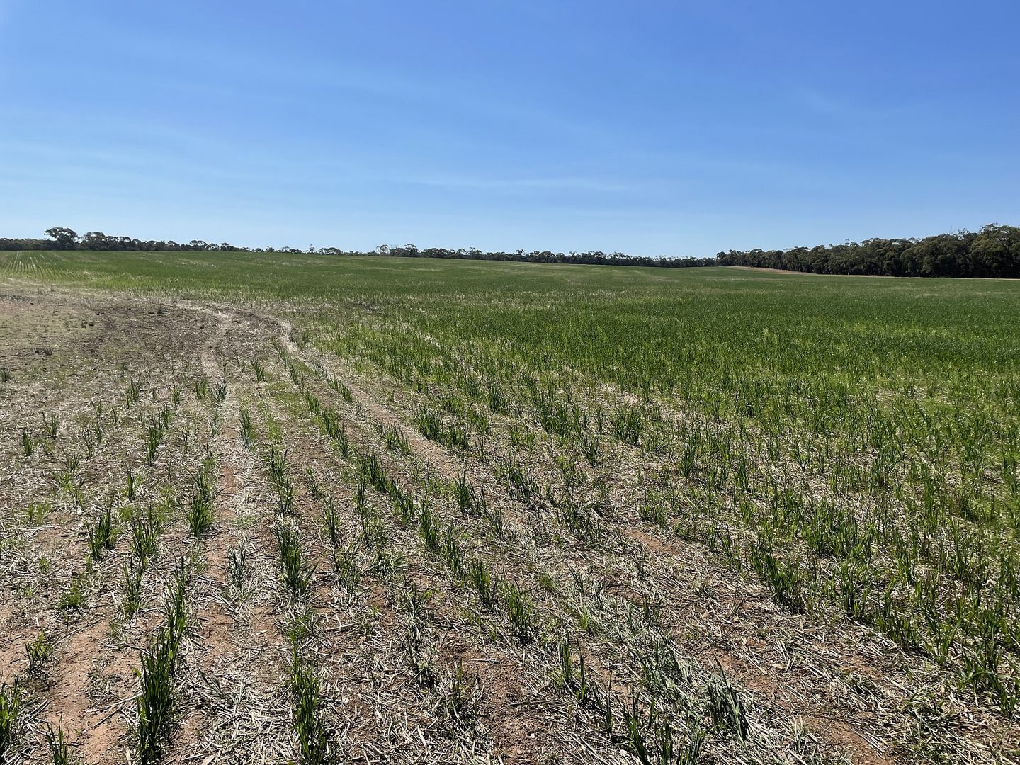 CA 6B/6C, 6D Cnr Nine Mile South & Nine Mile-Wedderburn Road, Nine Mile VIC 3518, Image 2