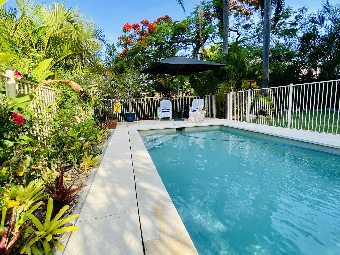 15 Macrossan Avenue, Norman Park QLD 4170, Image 1