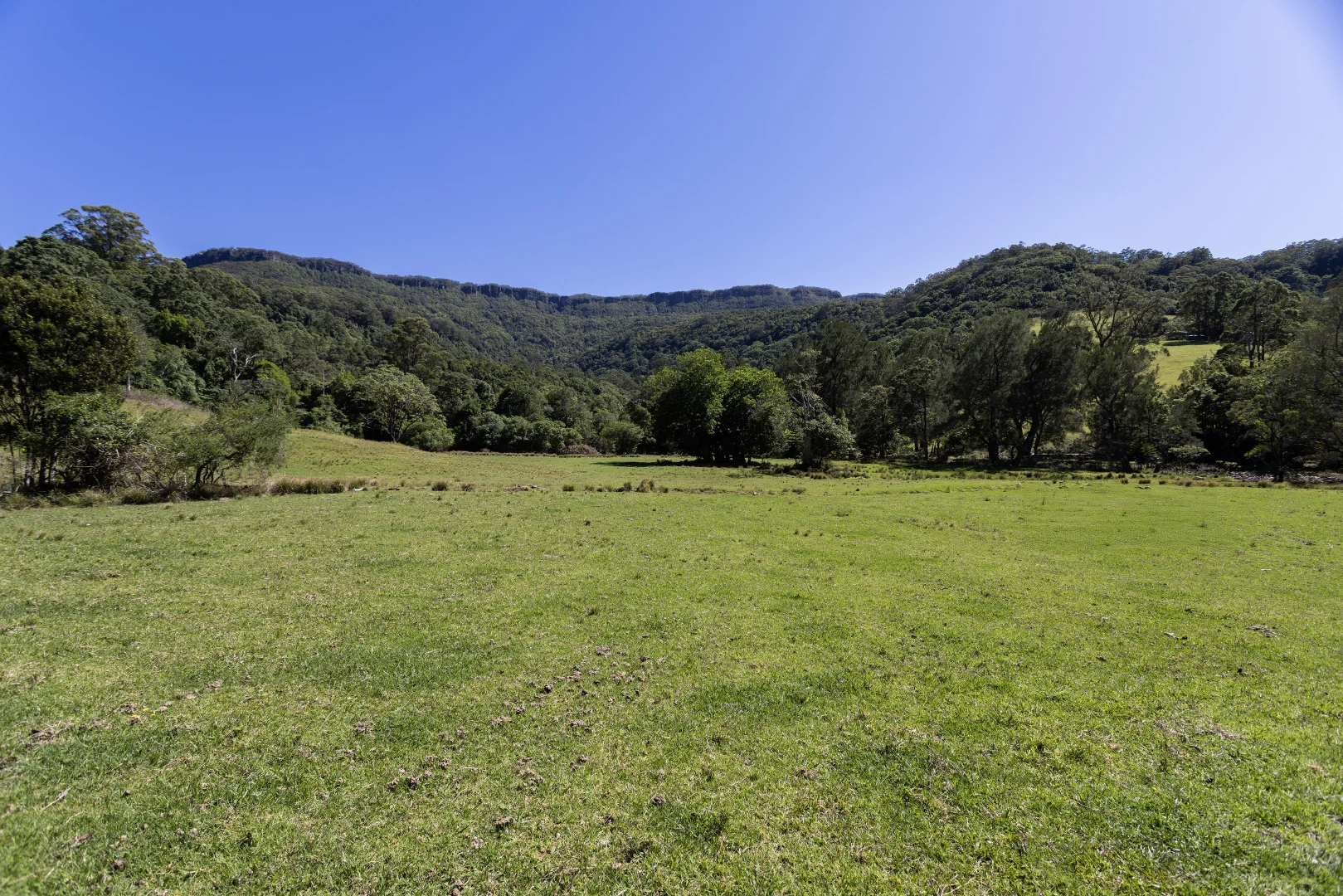 Image 13