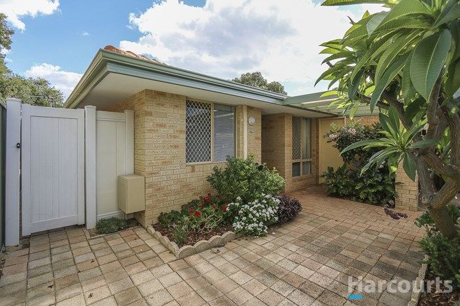 Picture of 25/35 Winnacott Street, WILLAGEE WA 6156