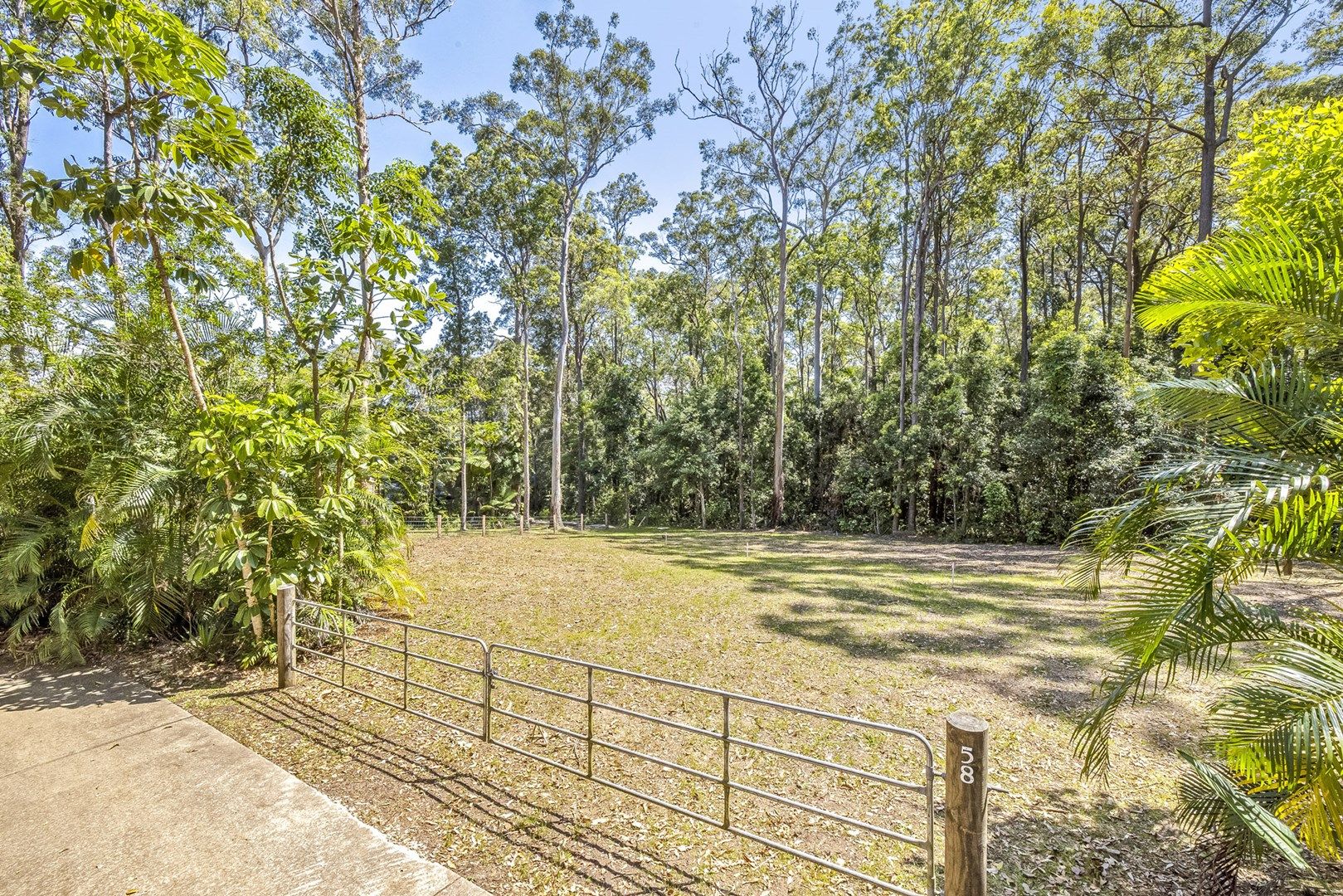 58 Bahdilli Crescent, Diddillibah QLD 4559, Image 0