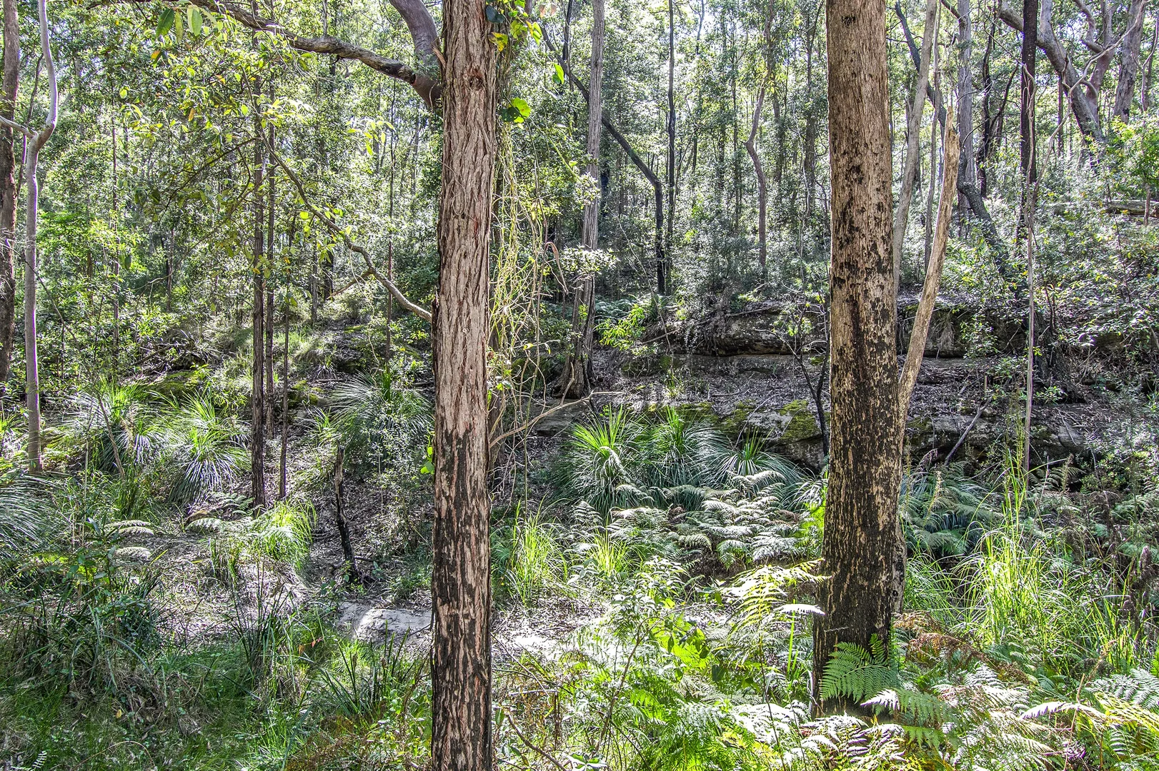 Image 9