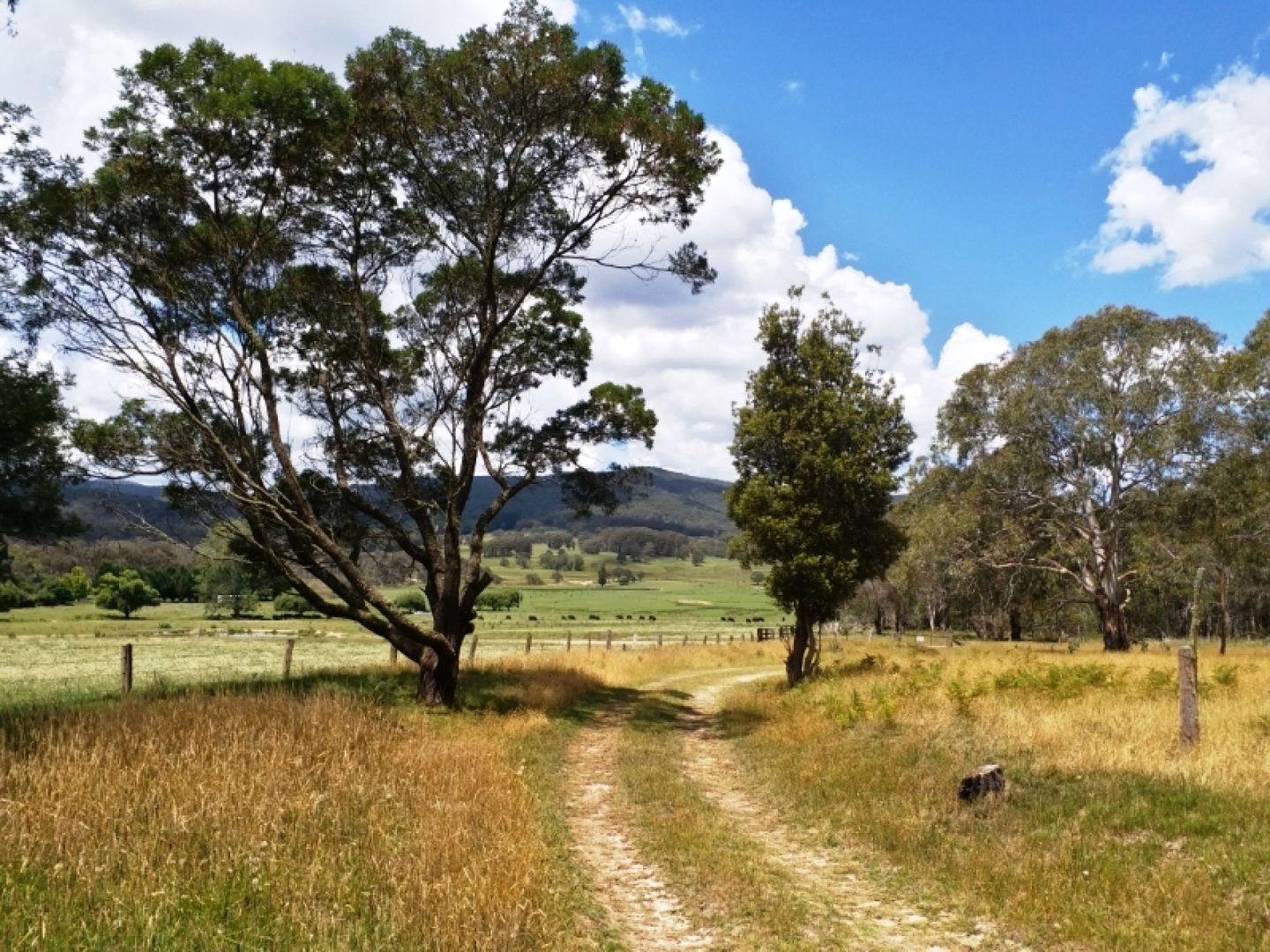 Wollomombi NSW 2350, Image 1