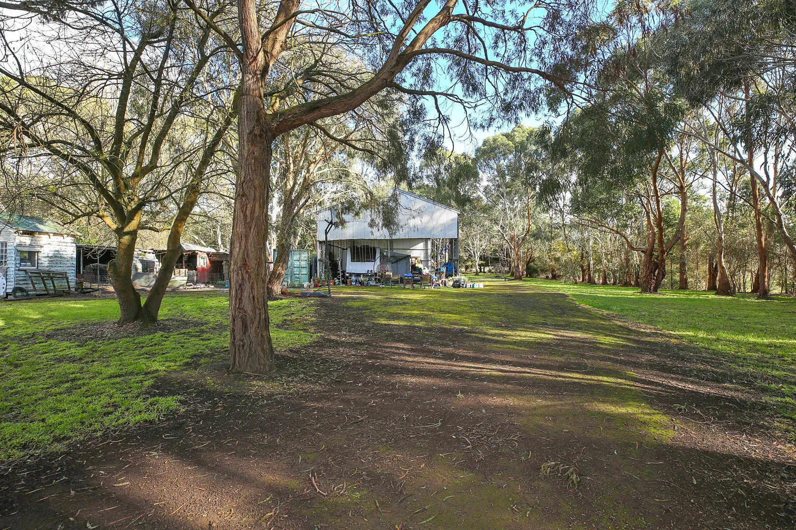 Image 8