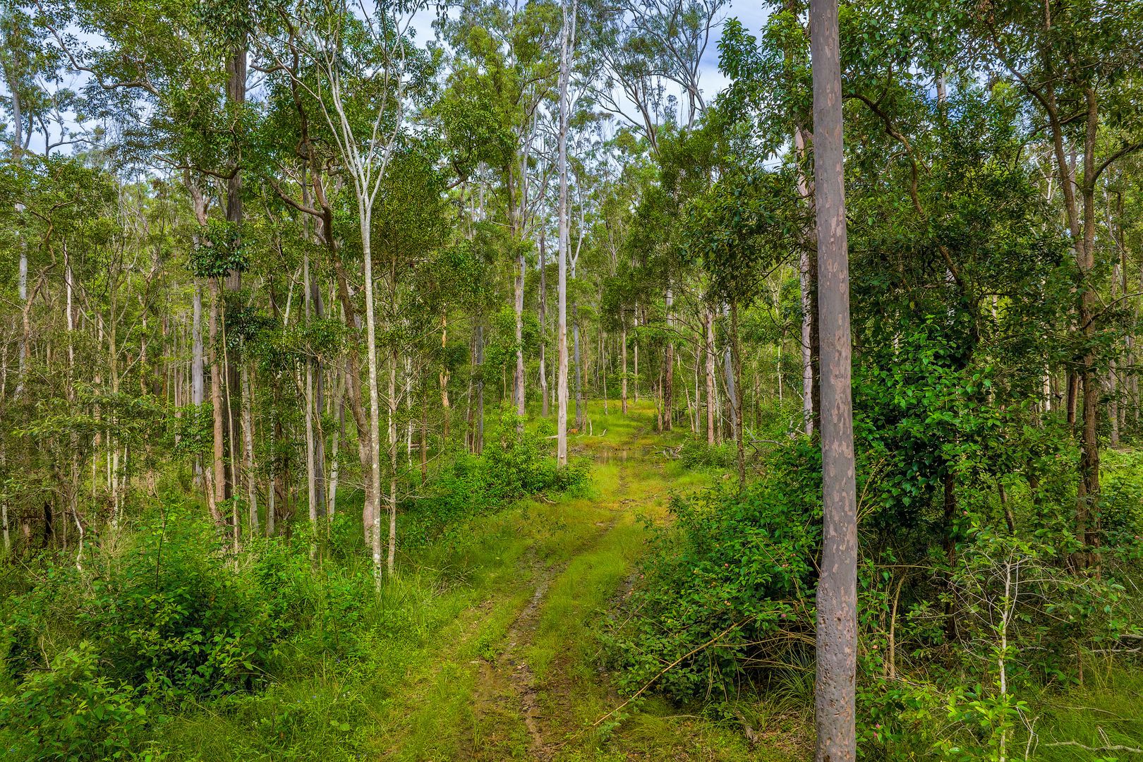 Lot 984 Arborfourteen Road, Glenwood QLD 4570, Image 1