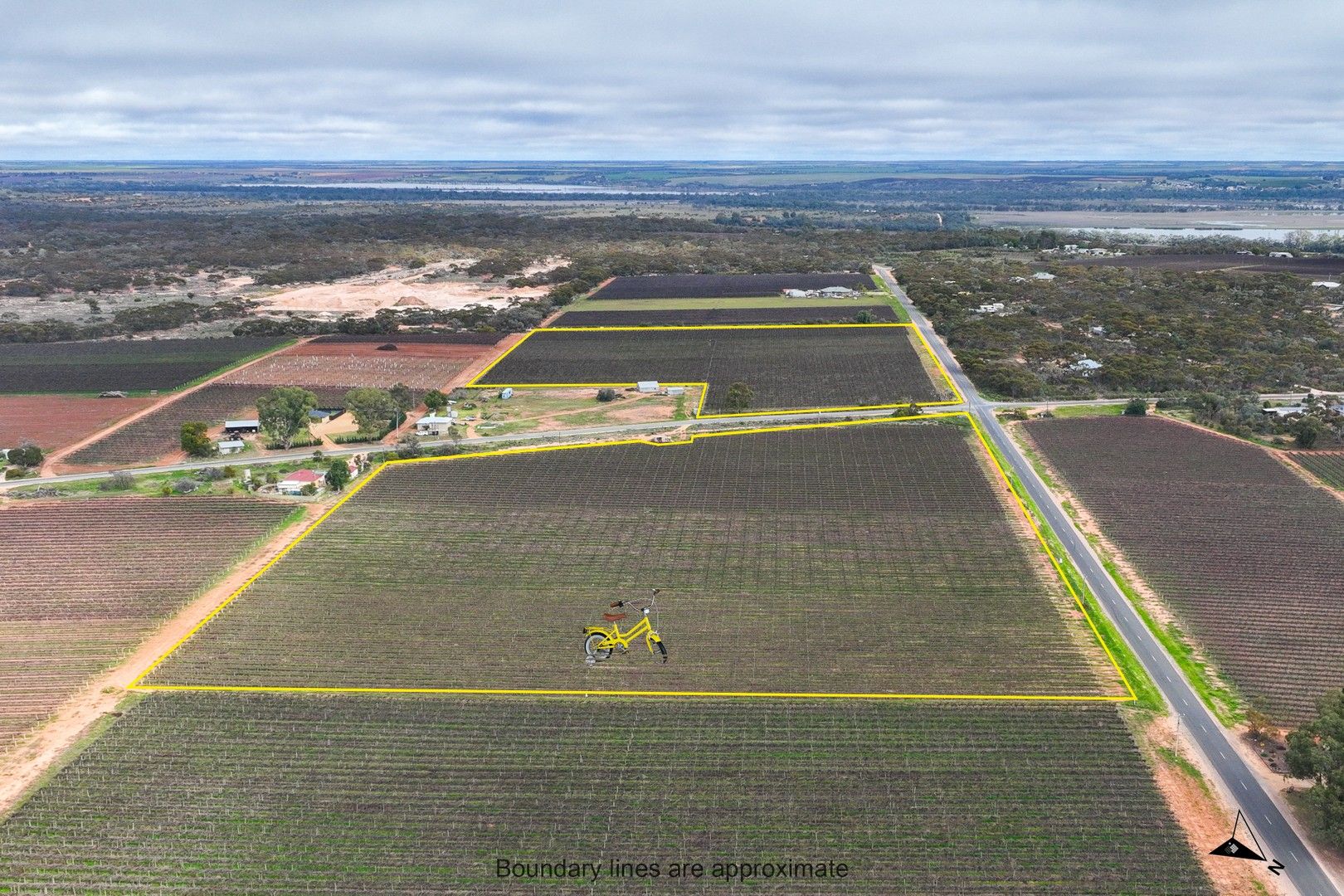 Pieces 1516/234 Thiele Road, Loveday SA 5345 Specialist Farm for Sale 445,000