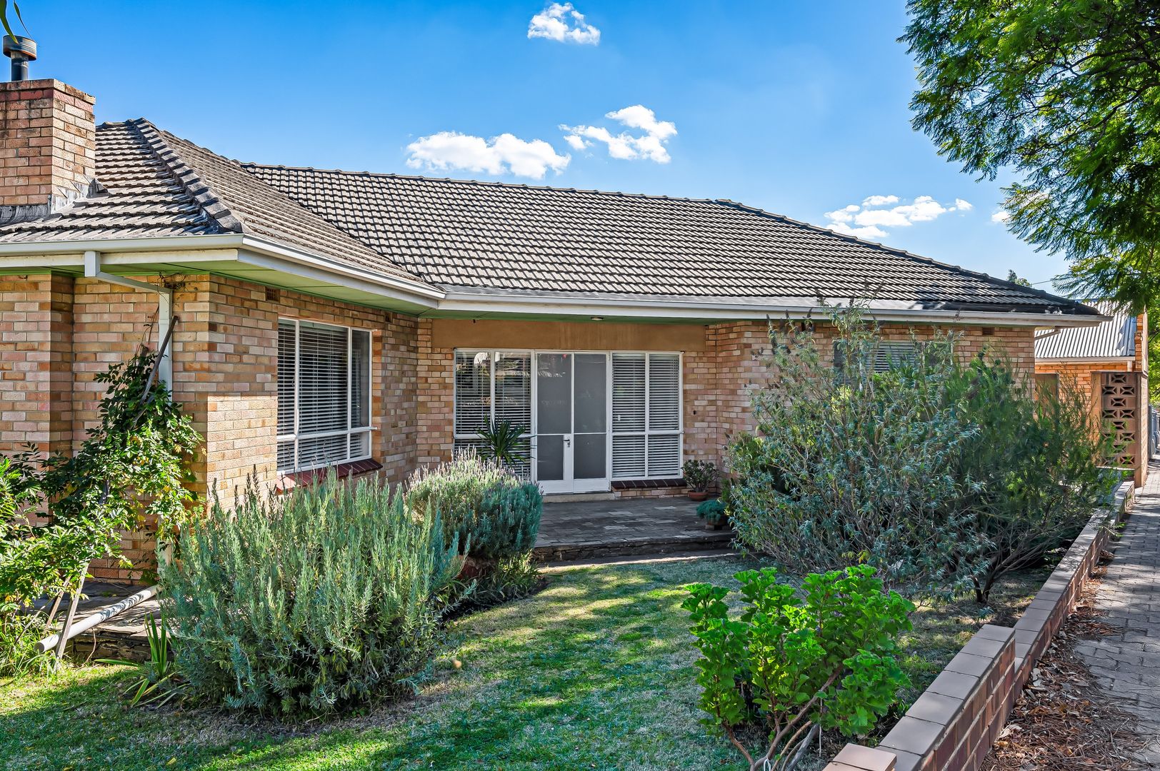 12 Boothby Street, Panorama SA 5041, Image 1