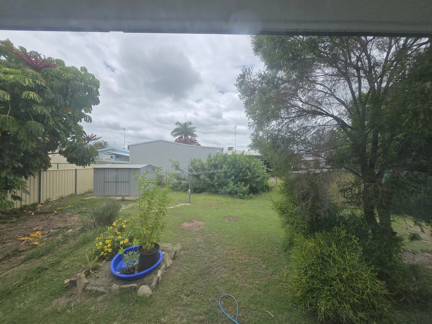 Image 12