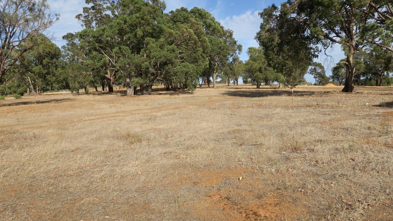 Lot 608 Yabby Lane, Baskerville WA 6056, Image 1