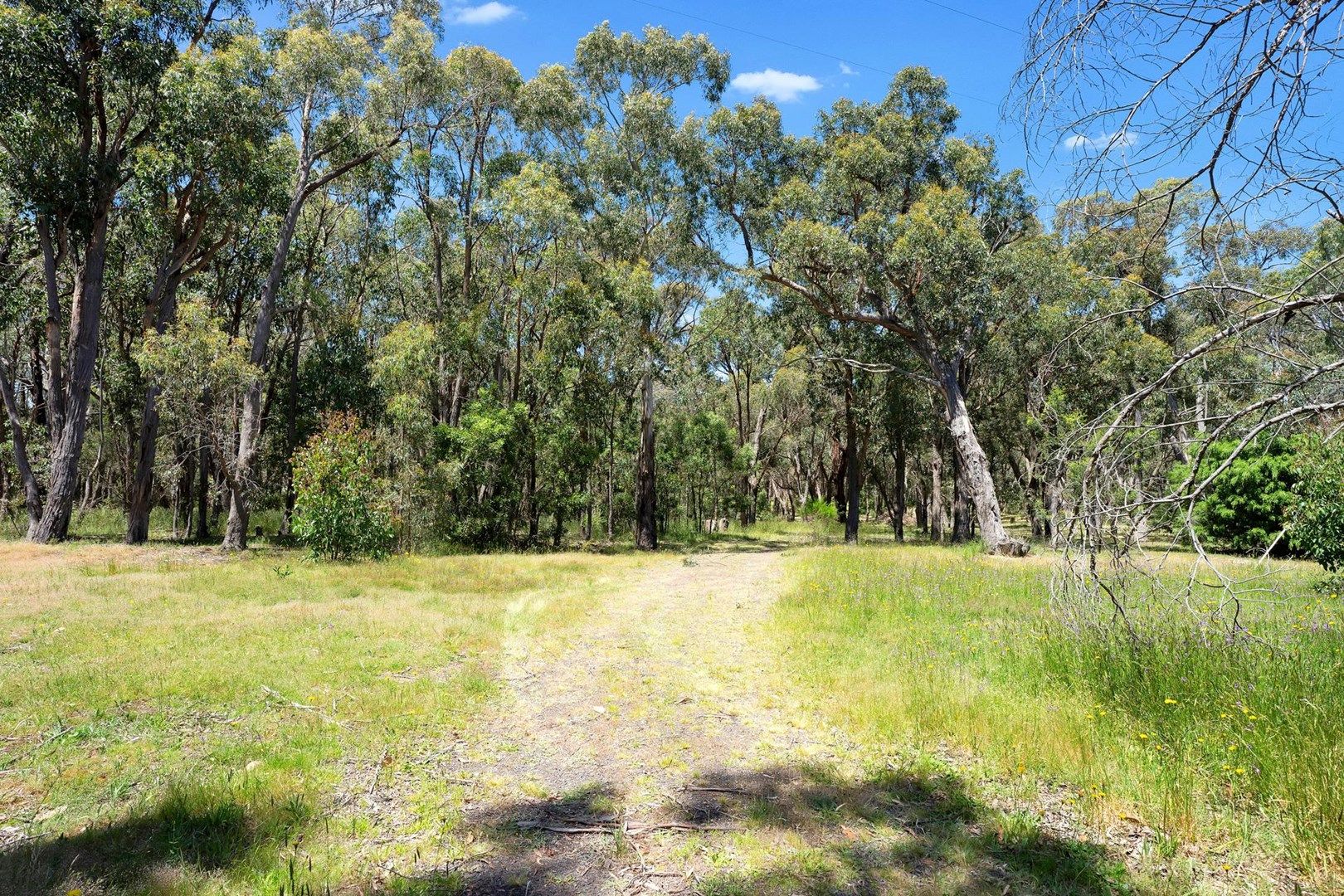 37 La Cote Road, Greendale VIC 3341, Image 0