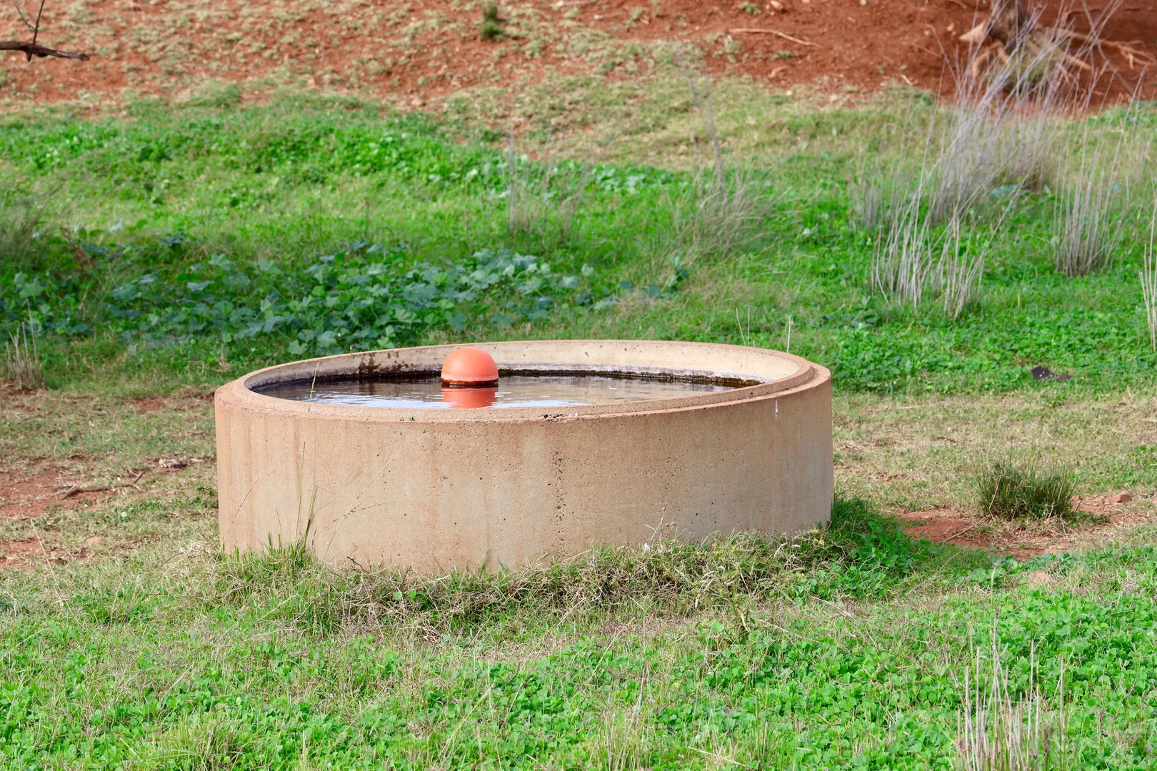 Image 7