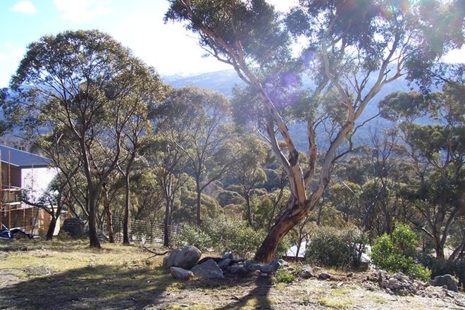 Picture of 5A Little Thredbo Lane, CRACKENBACK NSW 2627