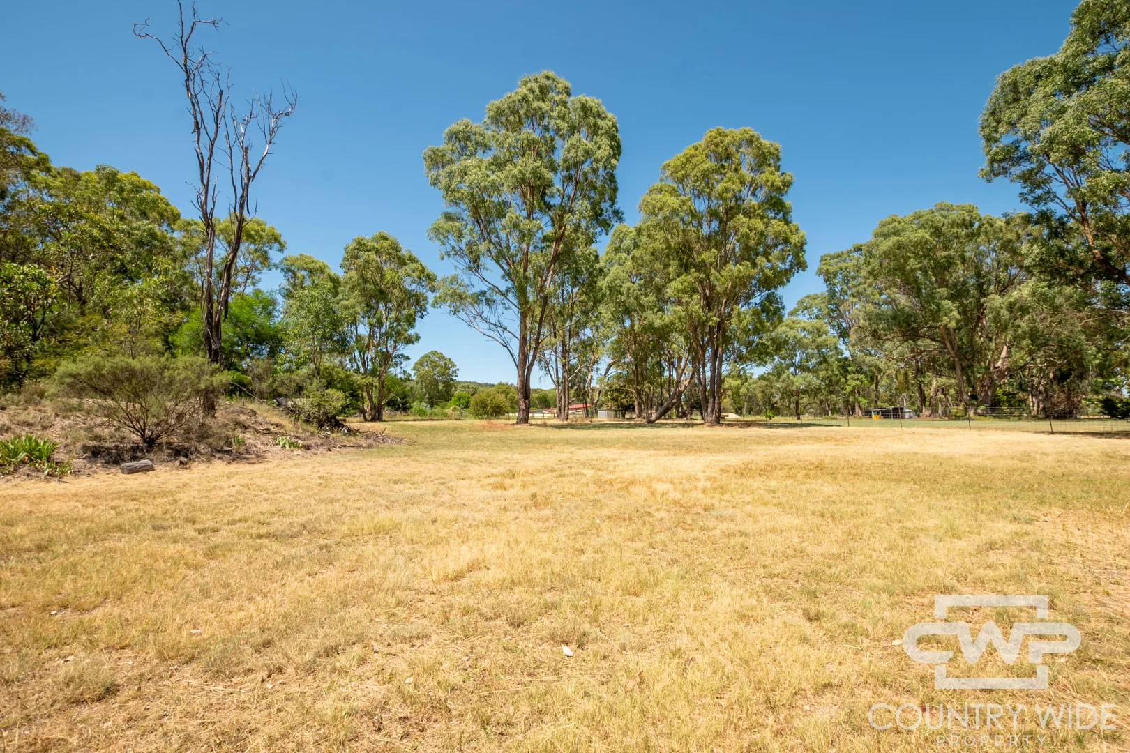 Additional image 10 of 3 Clifford Avenue, Emmaville NSW 2371