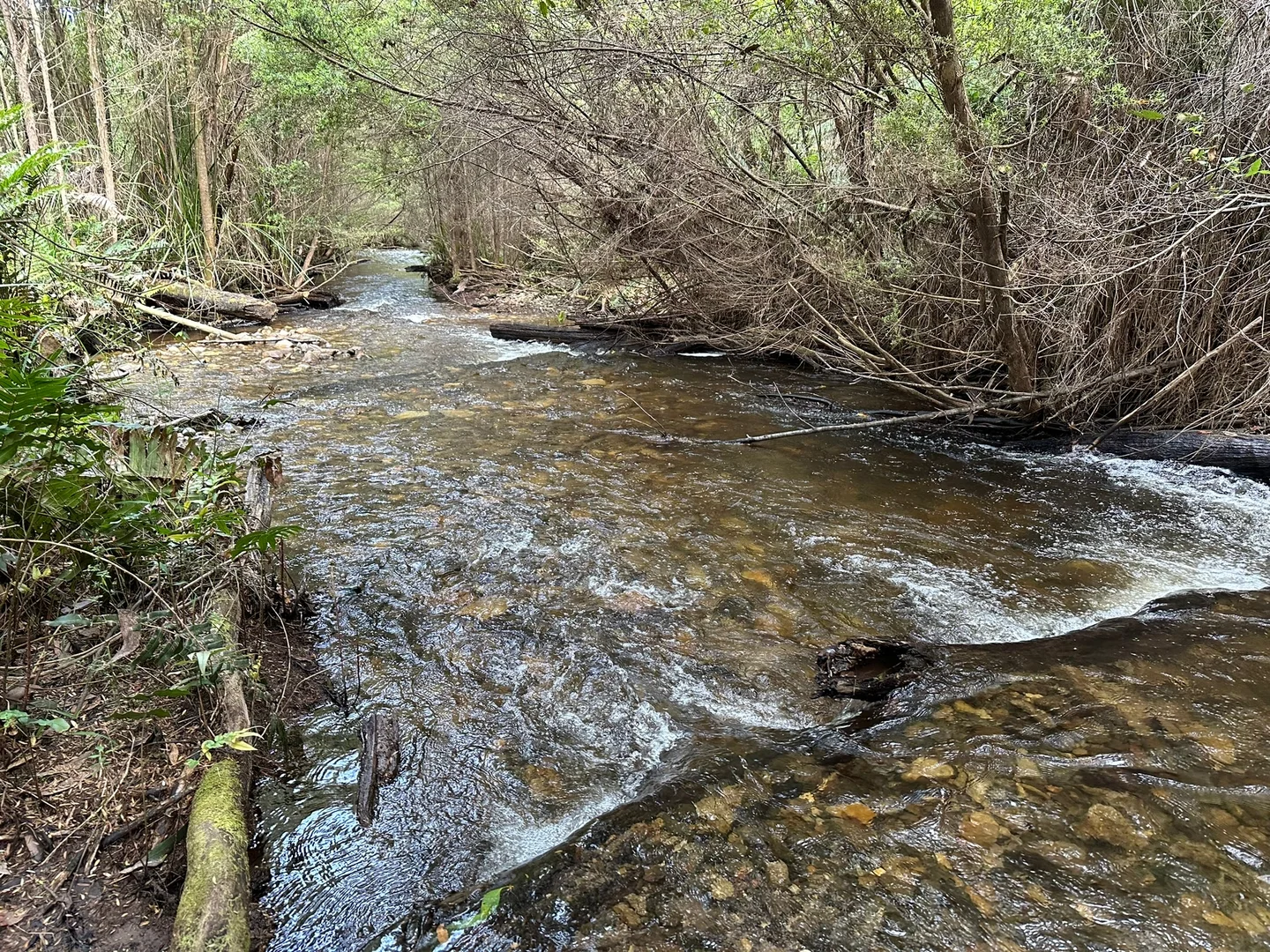 Additional image 12 of 81 Falls Road, Marysville VIC 3779