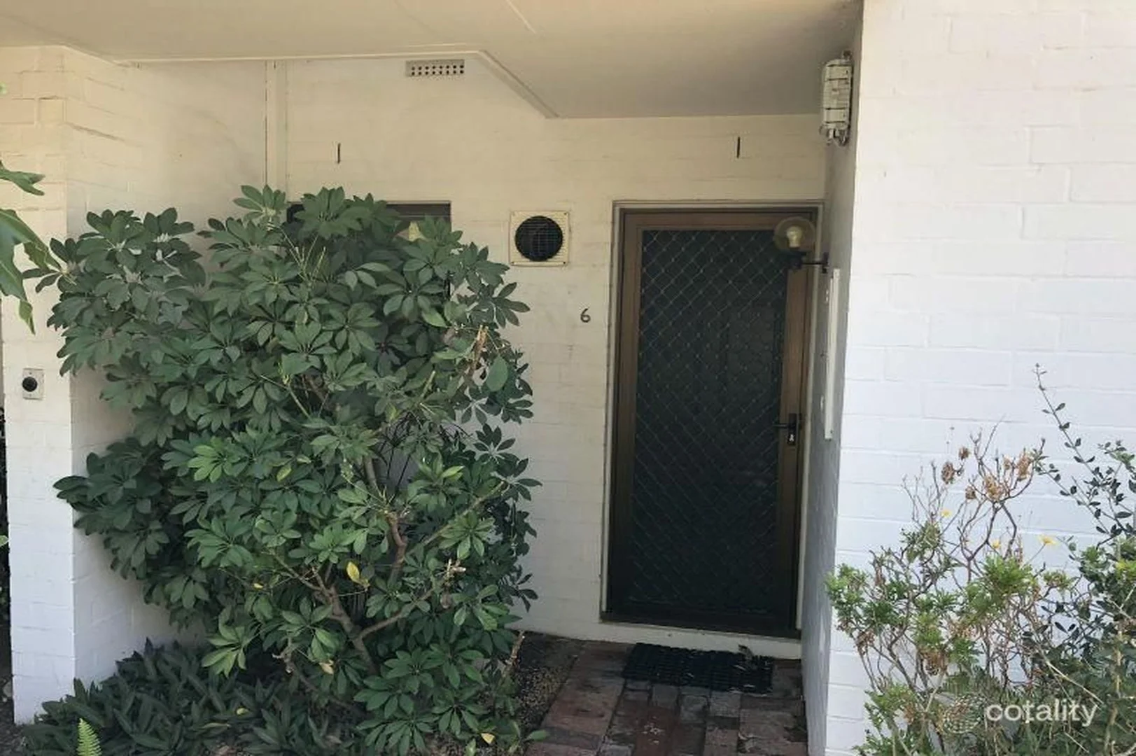 Image 15