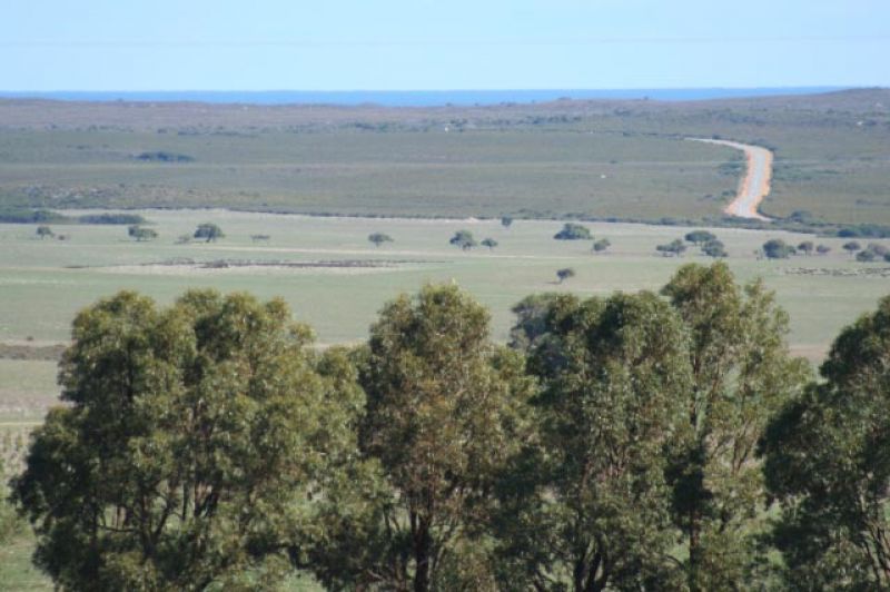 Cervantes WA 6511 House for Sale Domain