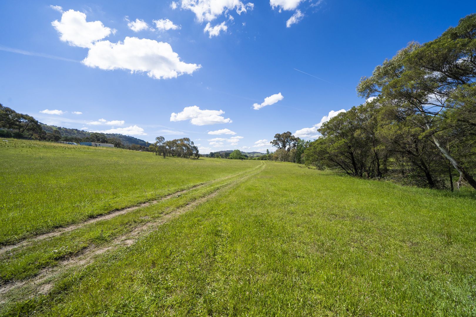 163 Naylor Road, Urila NSW 2620, Image 2