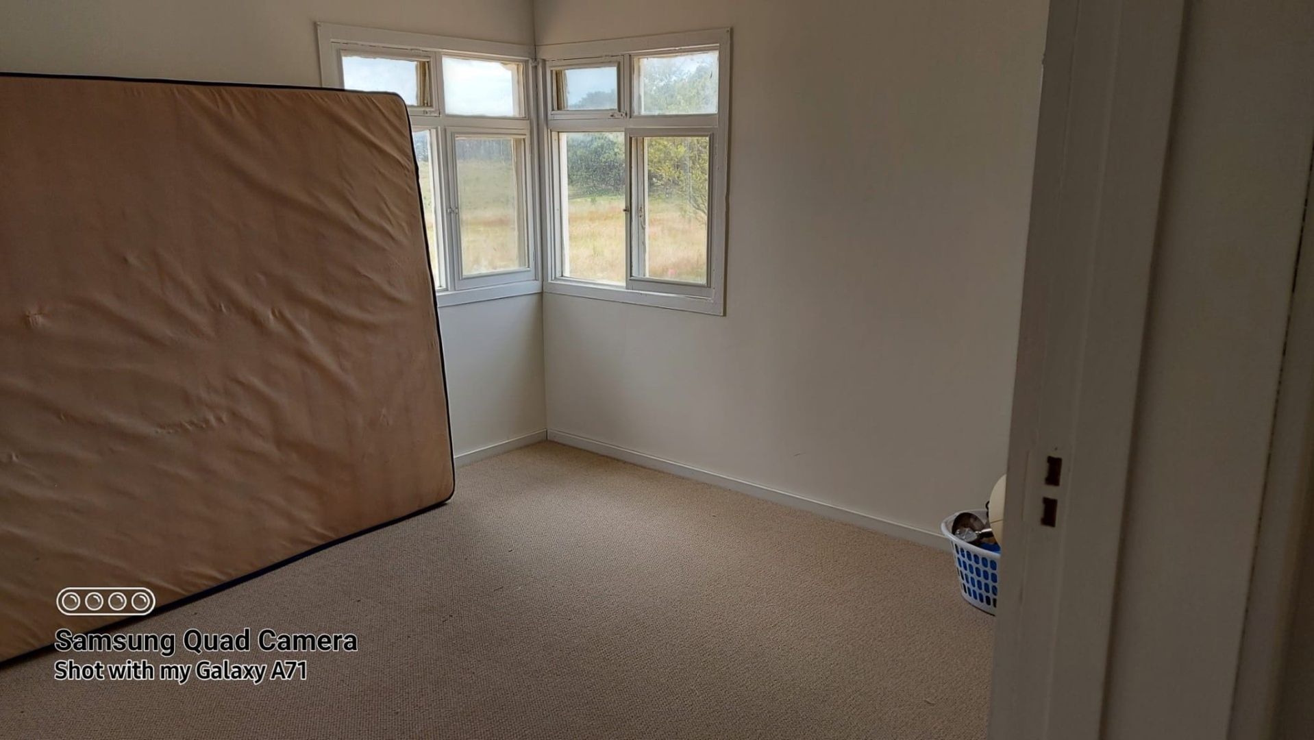 558 Hadlow Drive, Lake NSW 2581 Apartment For Rent Domain