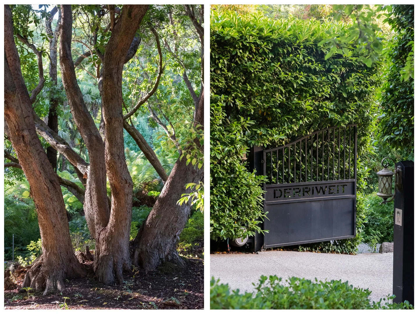 Additional image 25 of 85 Douglas Road, Mount Macedon VIC 3441