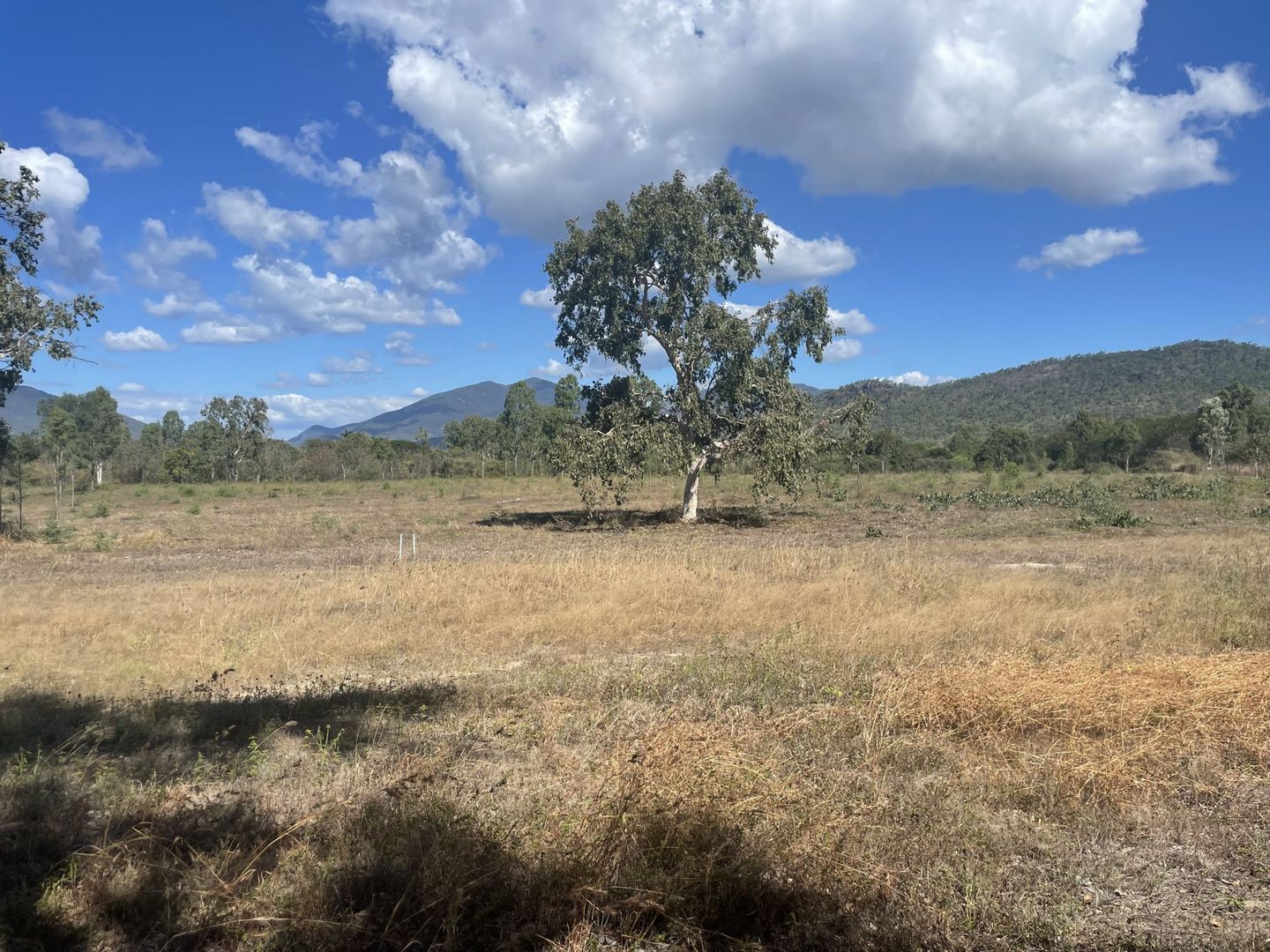 101 Bentley Drive, Nome QLD 4816 Vacant Land for Sale Domain