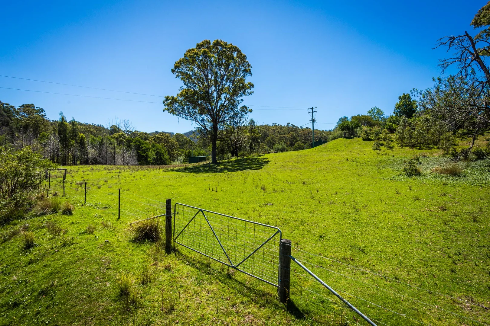Additional image 35 of 2131 The Snake Track, Towamba NSW 2550