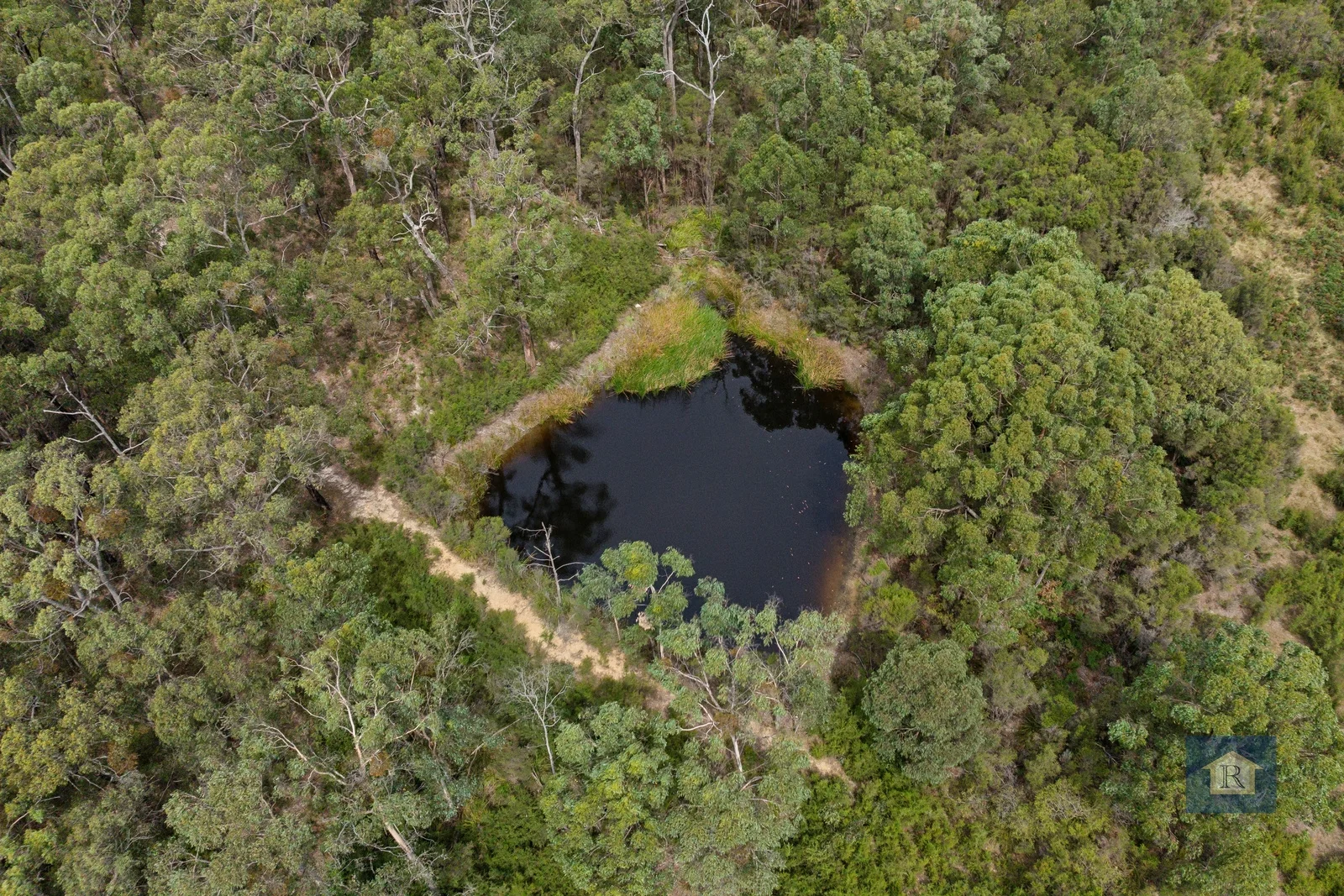 Image 13
