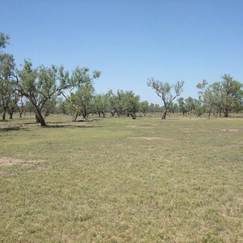 . "Ardrossan", Cunnamulla QLD 4490 Farm For Sale Domain