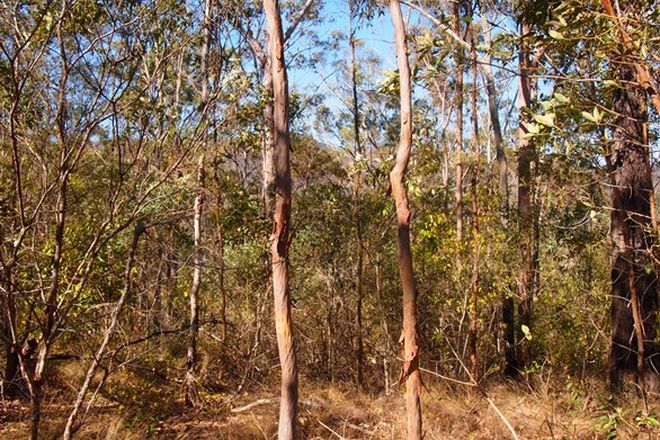 Picture of BANKS CREEK QLD 4306