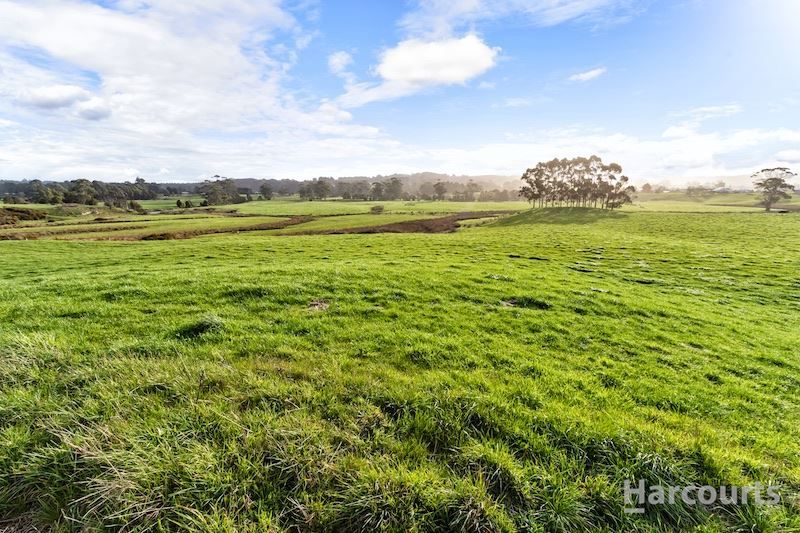 153 Preolenna Road, Flowerdale TAS 7325, Image 2