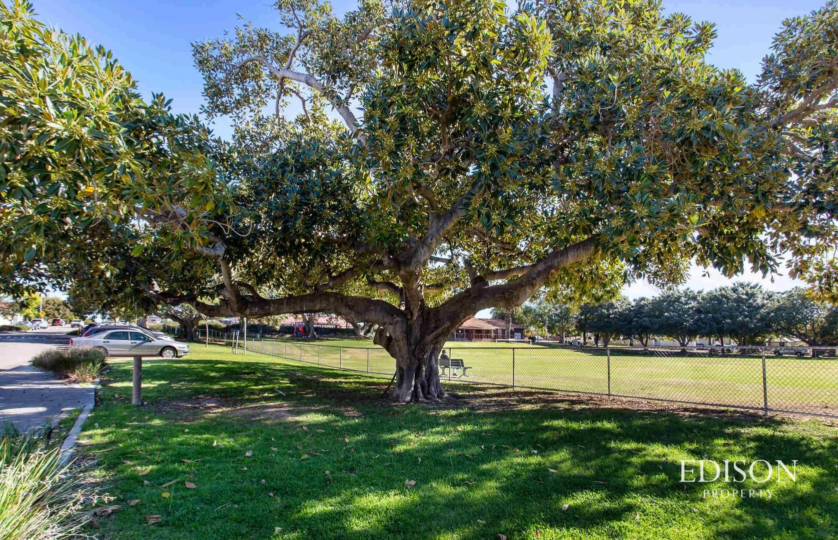 Additional image 34 of 20 Woodville Street, North Perth WA 6006