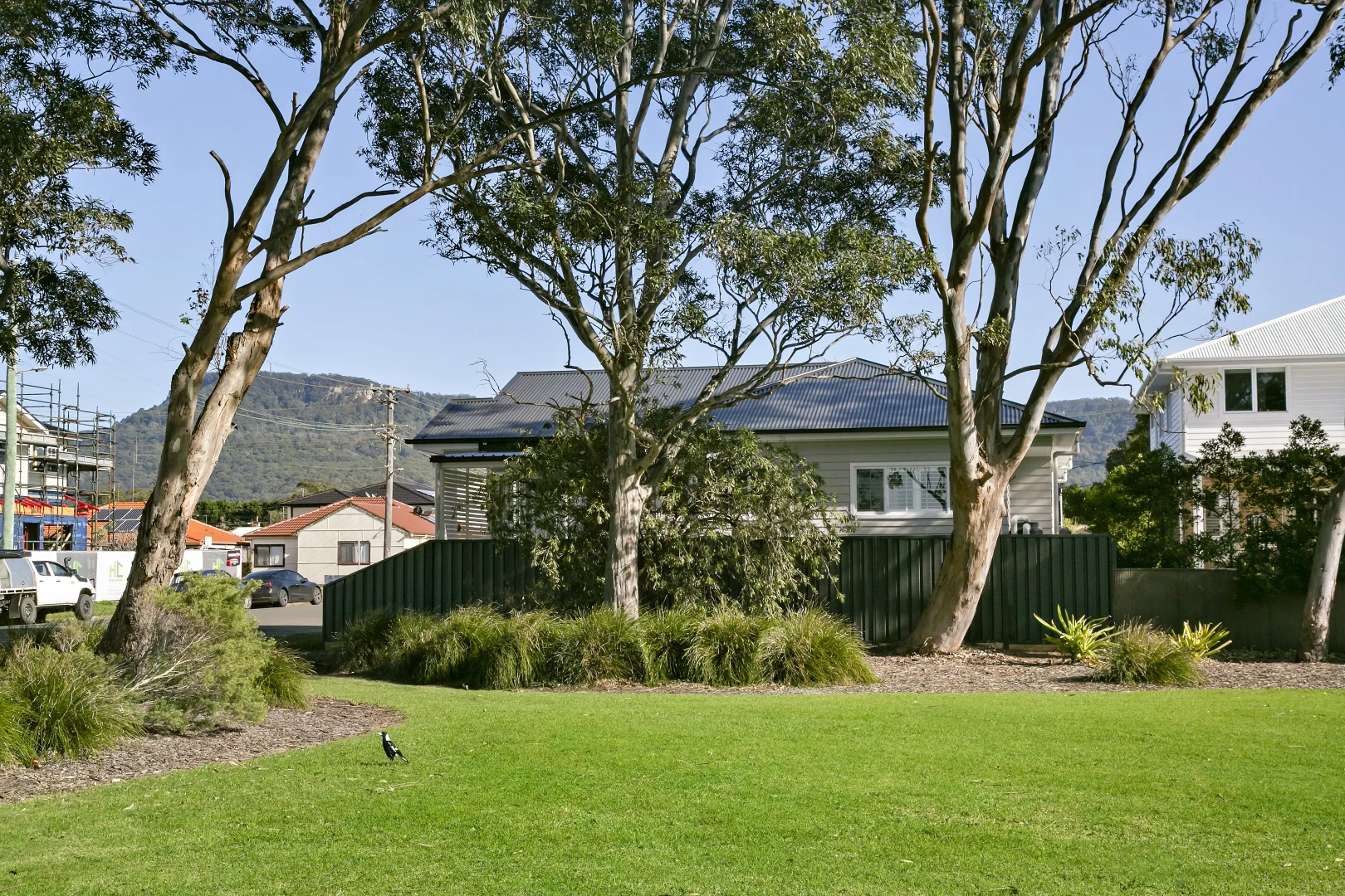 Image 11