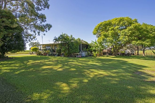 Picture of 137 New Norwell Road, WOONGOOLBA QLD 4207