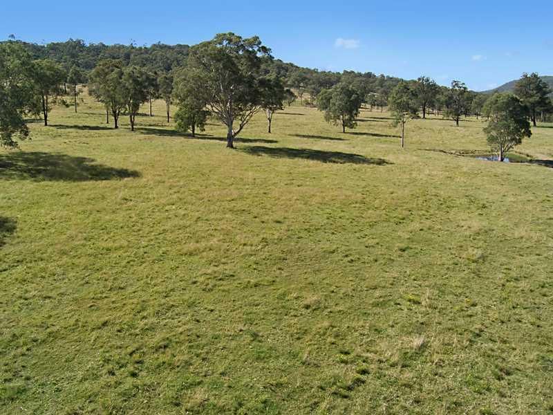 Lot 206 Paterson Hills Estate, PATERSON NSW 2421, Image 1