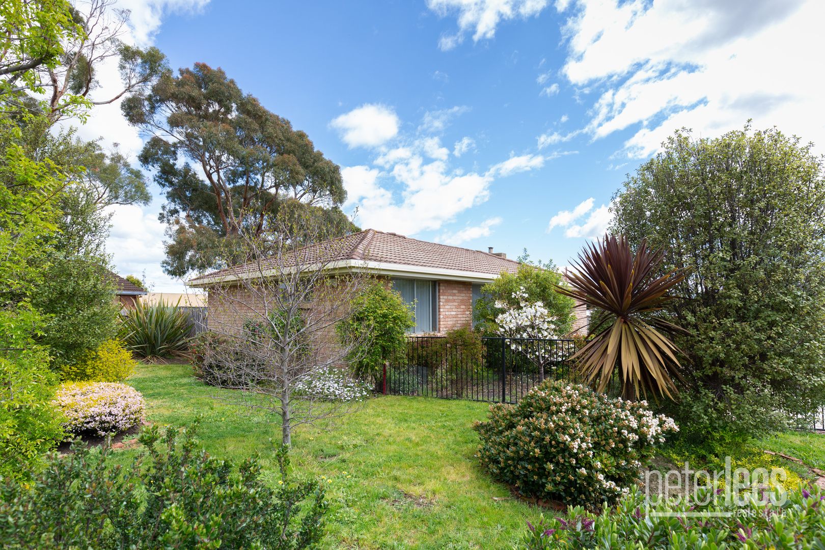 14 Blackwood Drive, Rocherlea TAS 7248, Image 2