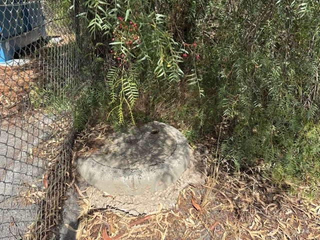 Image 9