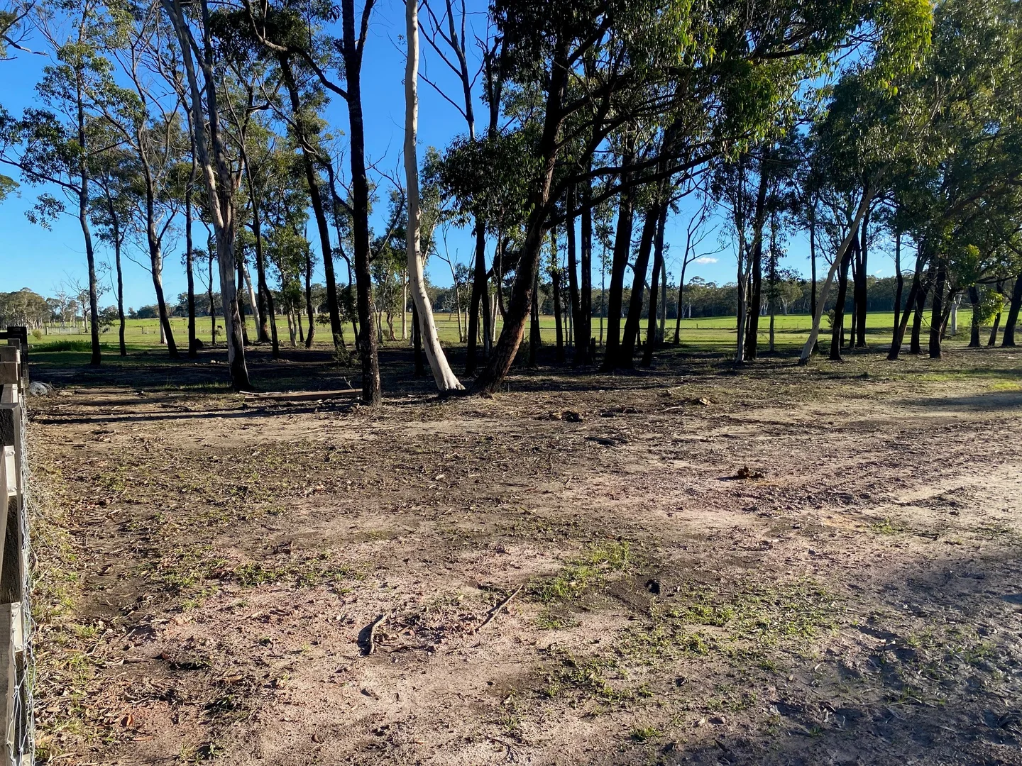 Image 12
