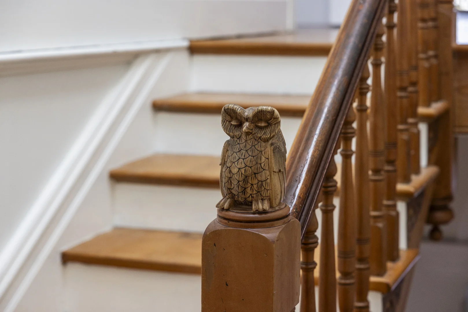 Additional image 19 of 128 Corunna Road, Stanmore NSW 2048