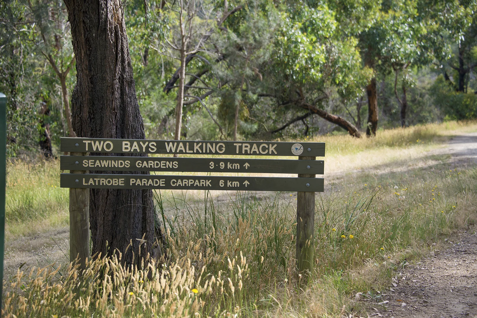 Additional image 8 of 27 Bellbangra Avenue, Rosebud VIC 3939