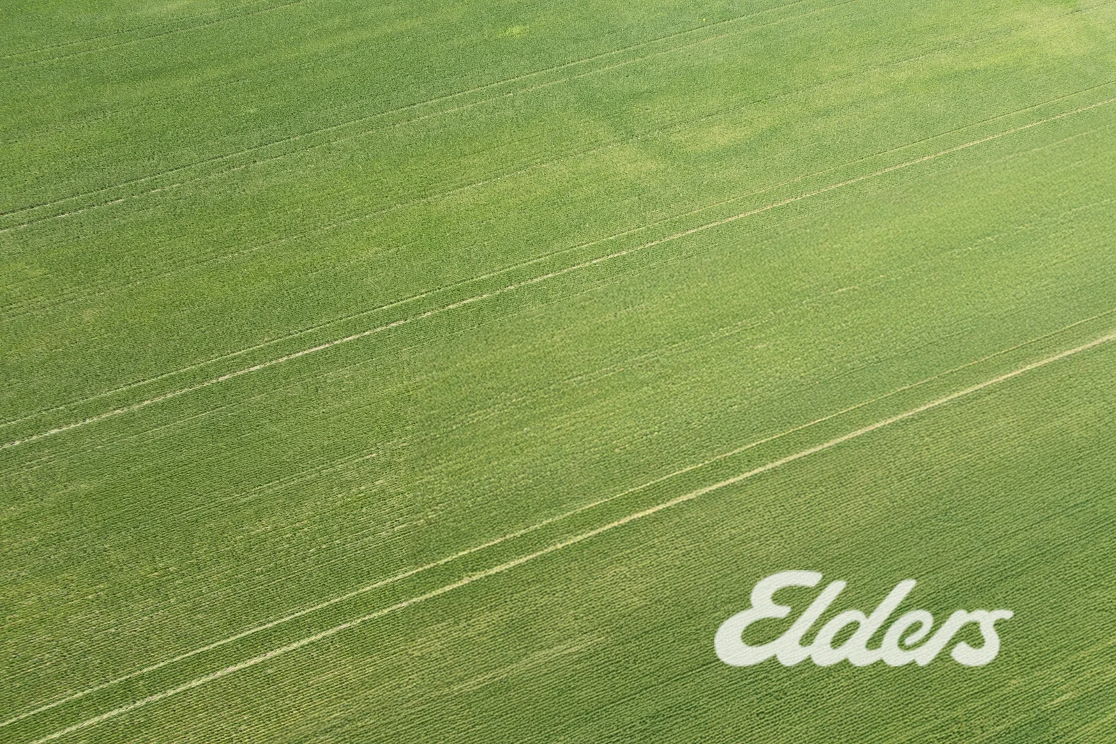 Additional image 32 of 235 Clearview Road, Savernake NSW 2646