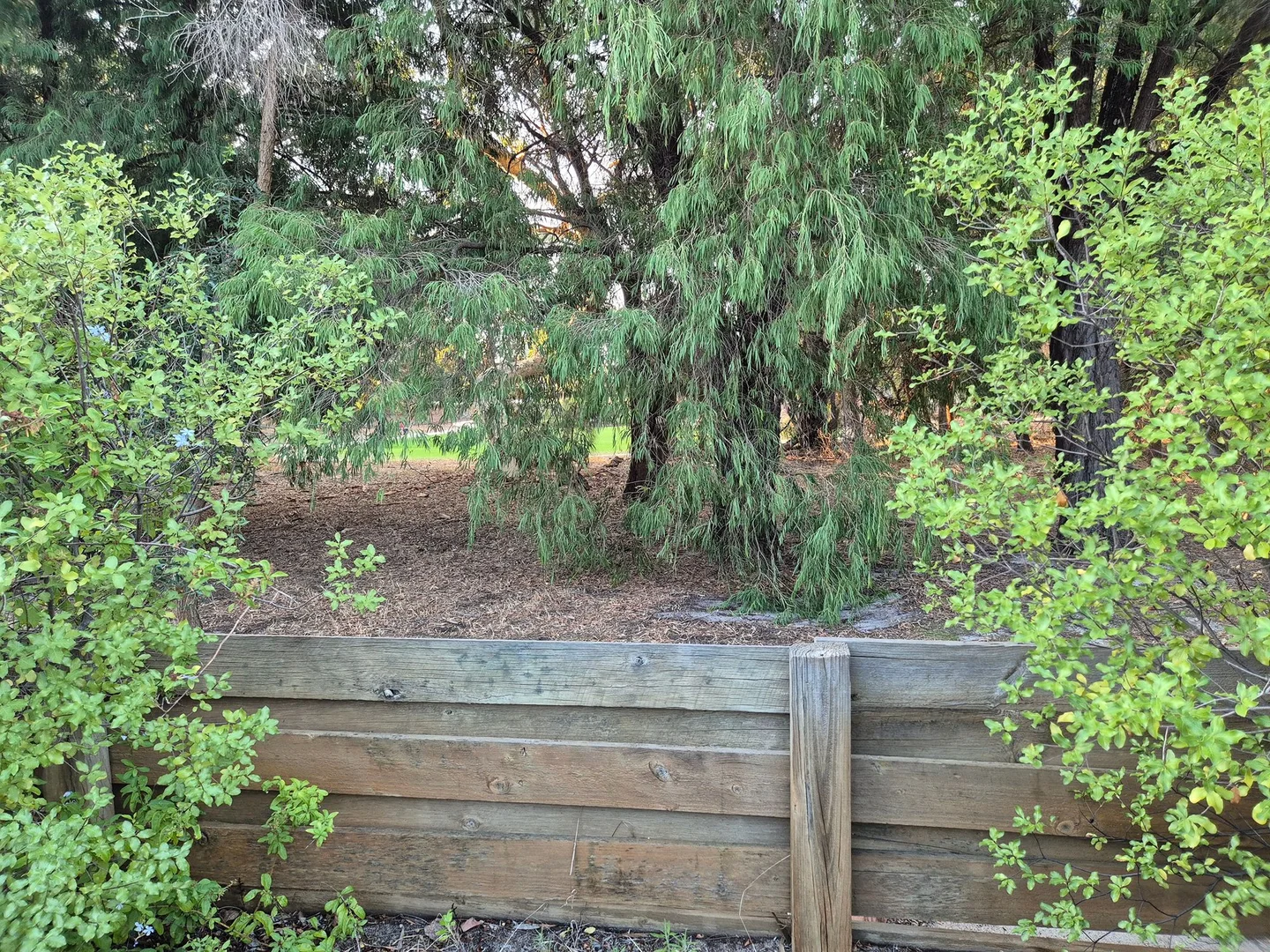 Additional image 21 of 7/30 Collinson Way, Leeming WA 6149