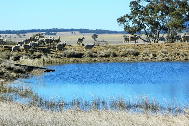 Picture of 7749 Castlereagh Hwy, AARONS PASS NSW 2850