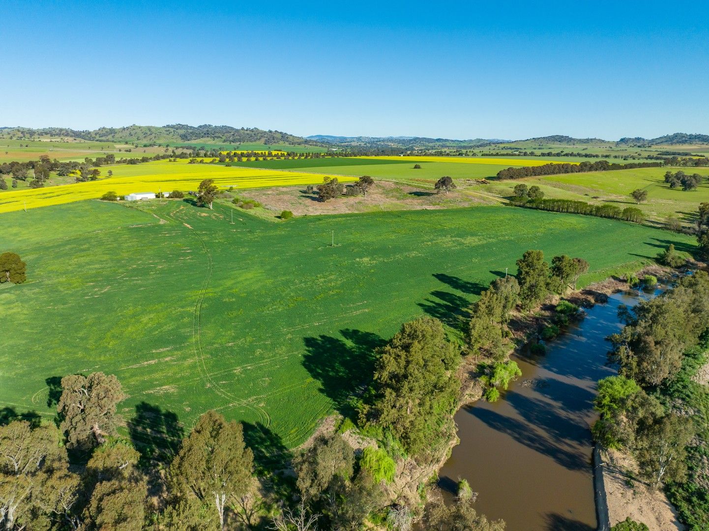 1 Cudgelo Lane, Cowra NSW 2794, Image 0