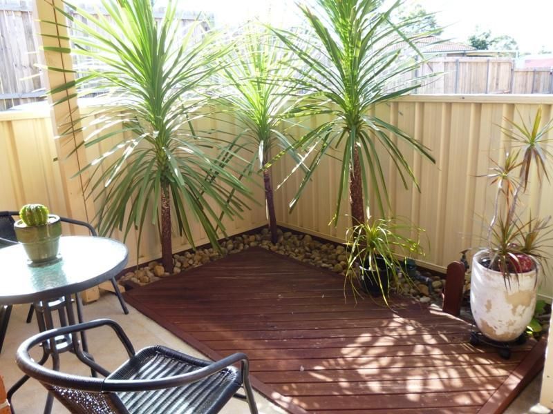 8/3-5 Mosman Place, RAYMOND TERRACE NSW 2324, Image 1