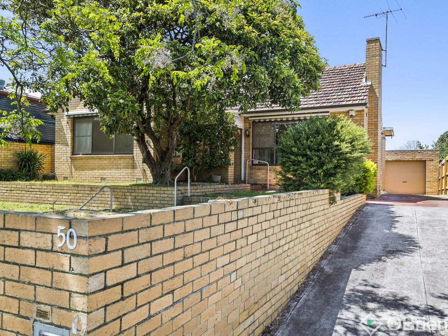 50 Second Street, Parkdale VIC 3195 Domain