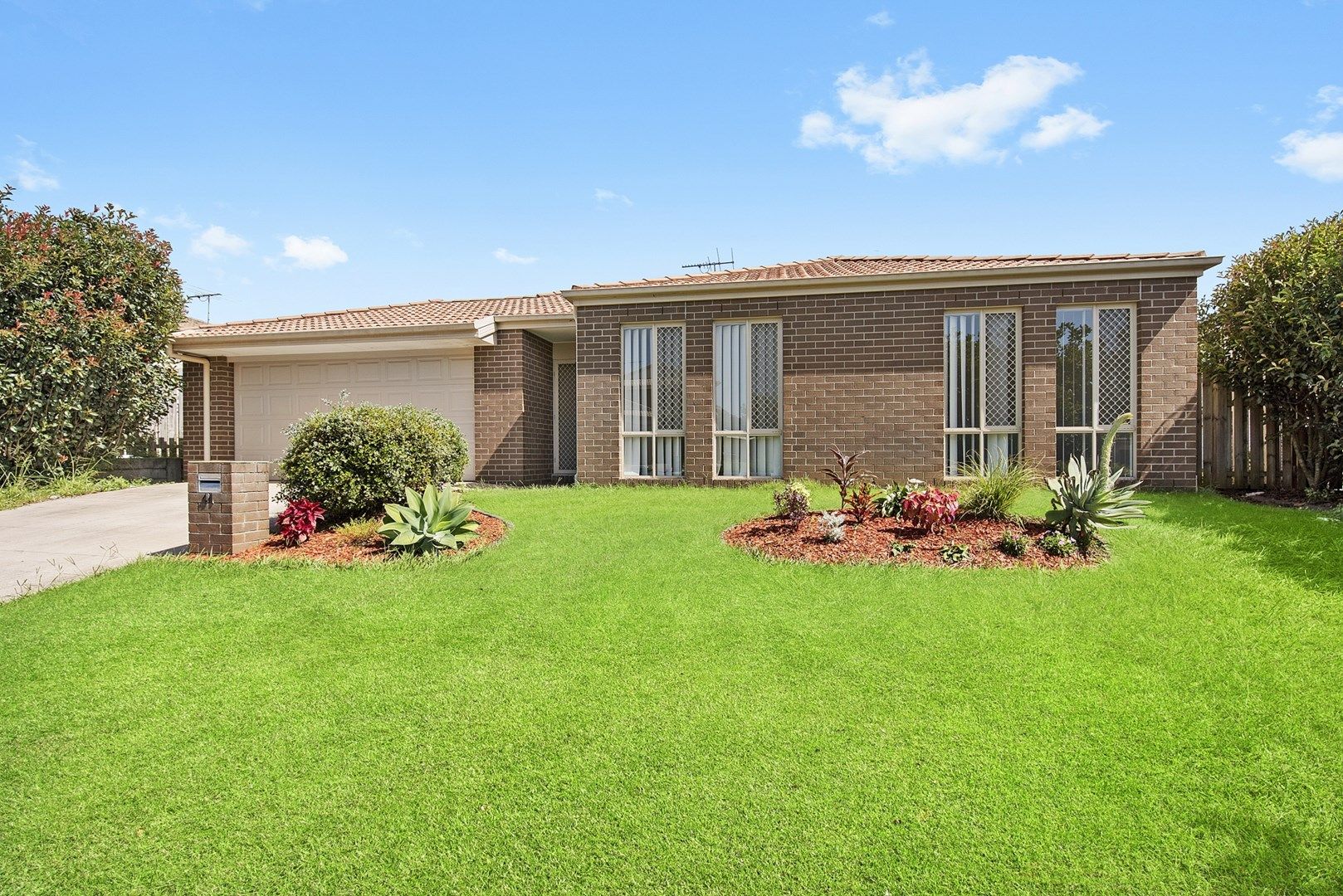 41 Allison Drive, Kallangur Property History & Address Research Domain