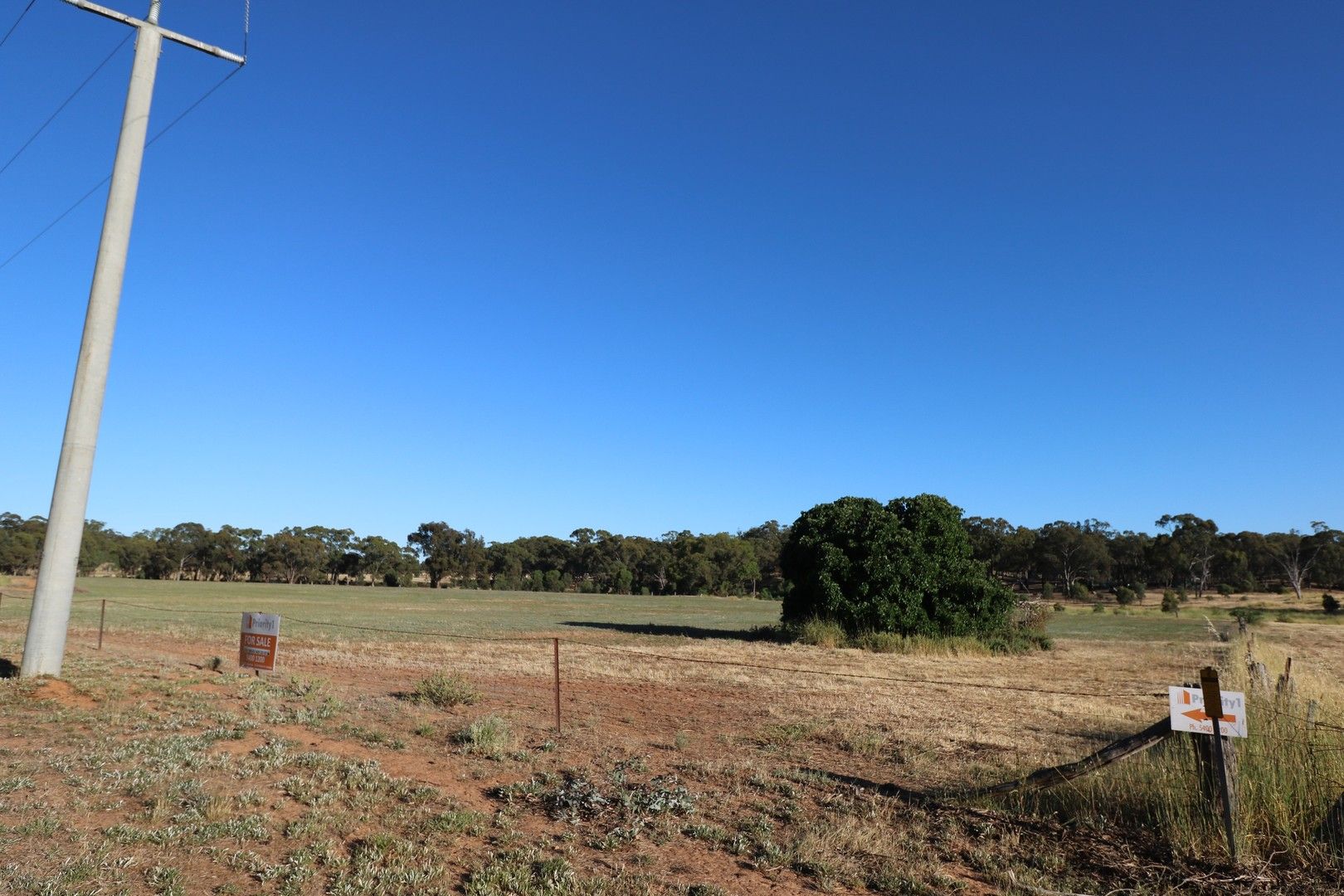 CA 6 Nine Mile-Wedderburn (opposite 85 Nine Mile Road Wedderburn) Road, Nine Mile VIC 3518, Image 0