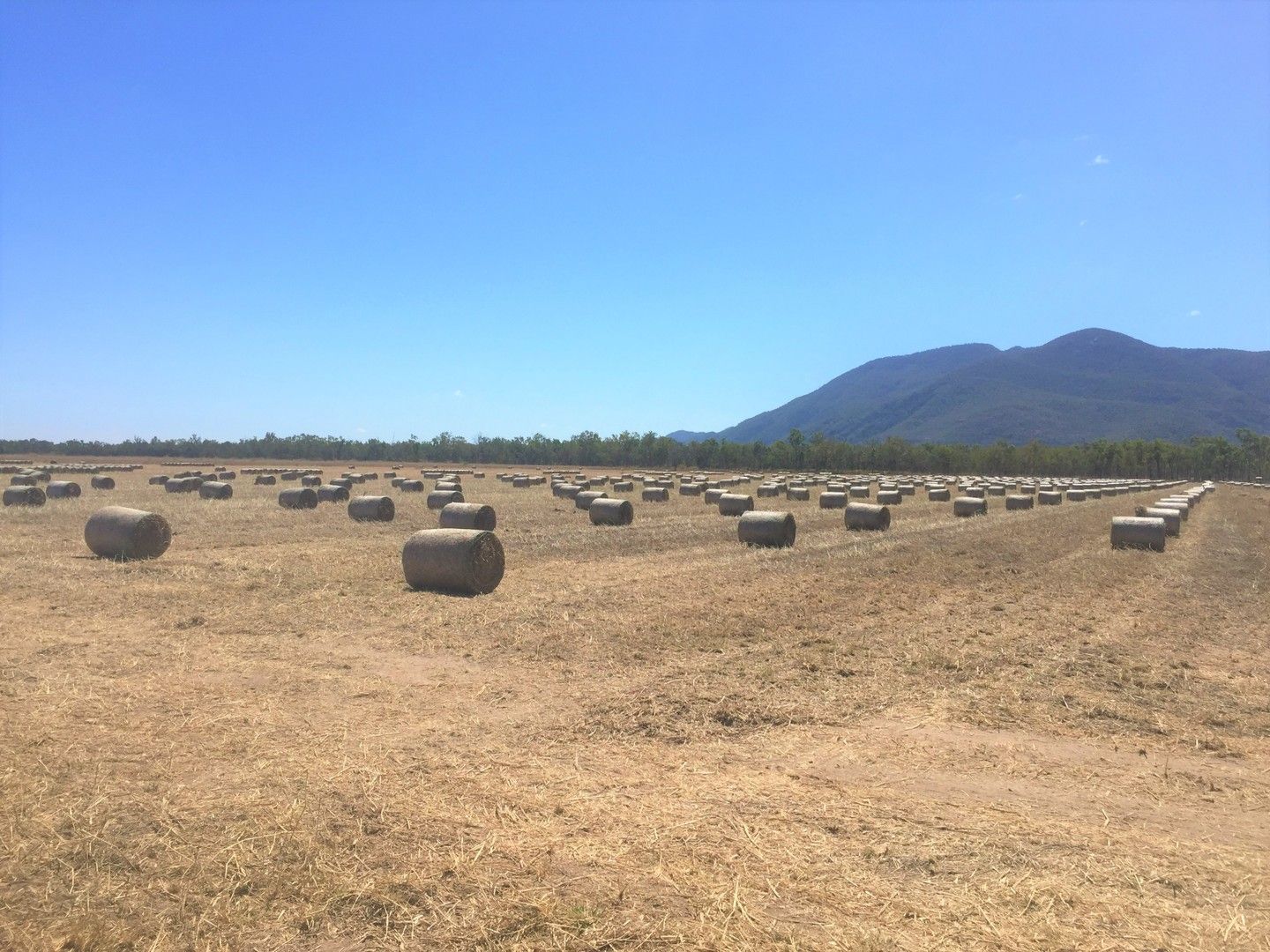 Webb Road, Majors Creek QLD 4816, Image 2