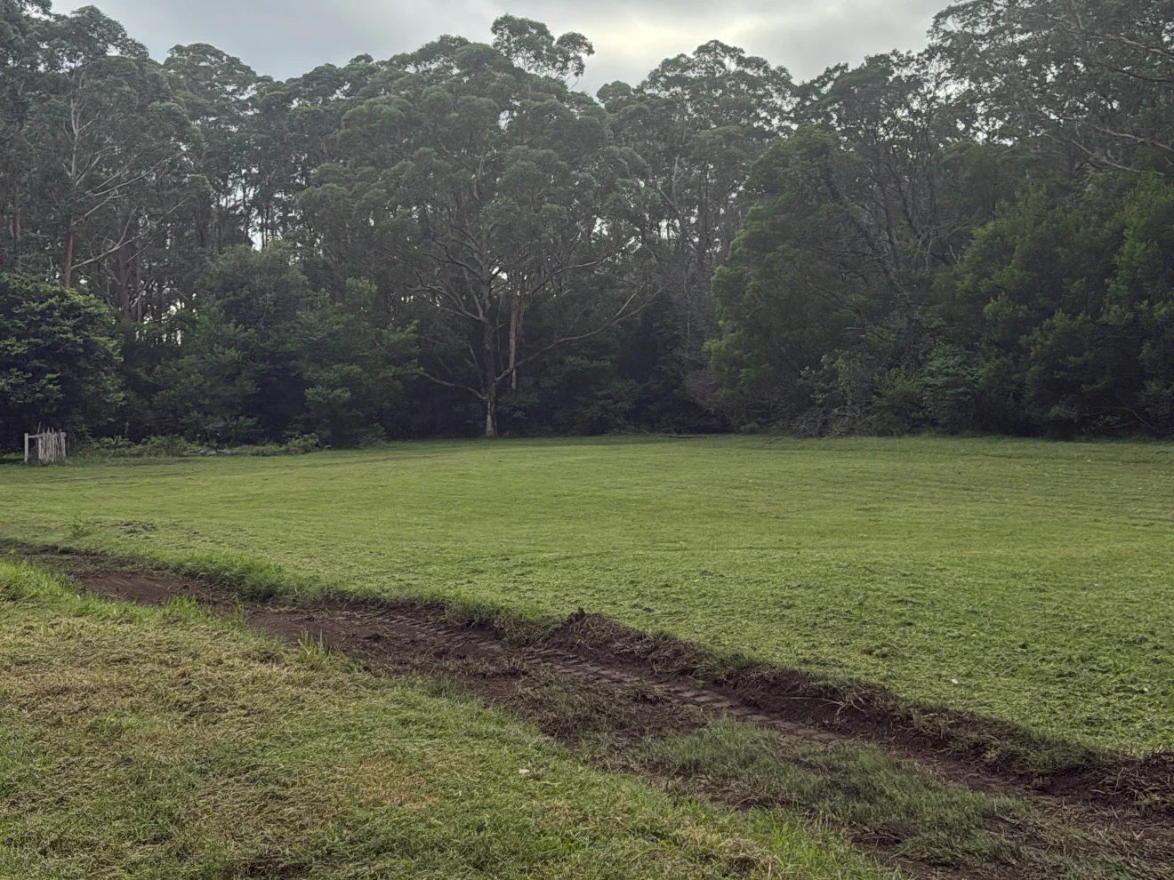 Image 14