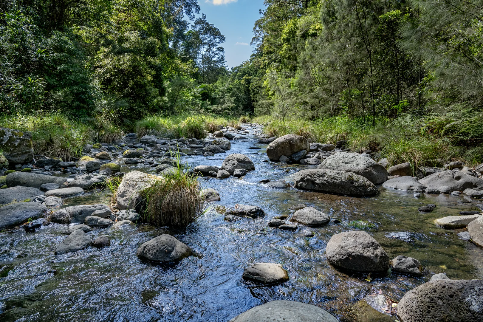 Image 30