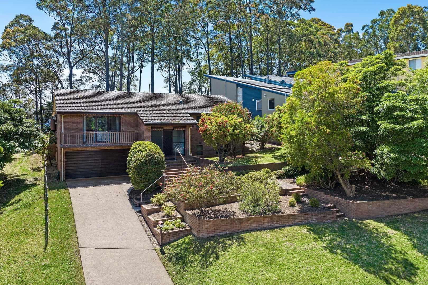 10 Beechwood Court Sunshine Bay NSW 2536 House For Rent Domain